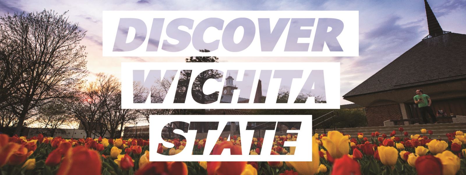 Discover Wichita State